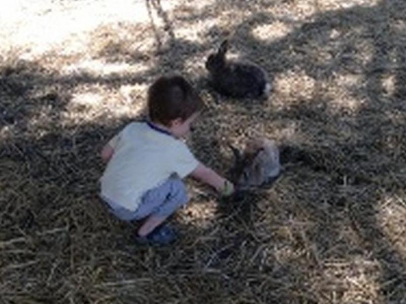 Sunflowers Animal Farm & Farmstay Margaret River Extérieur photo